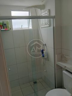 APÊ NO ENCANTOS DOS BOSQUES