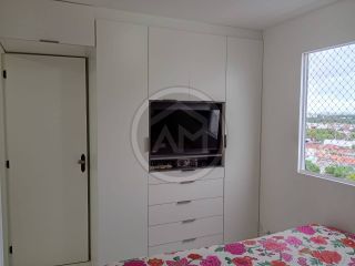 APÊ NO ENCANTOS DOS BOSQUES