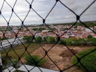 APÊ NO ENCANTOS DOS BOSQUES