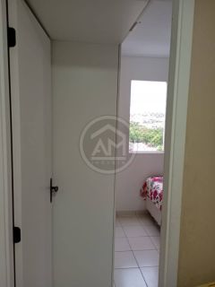 APÊ NO ENCANTOS DOS BOSQUES