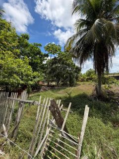 SÍTIO À VENDA NO MOSQUEIRO