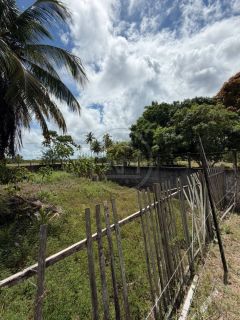 SÍTIO À VENDA NO MOSQUEIRO