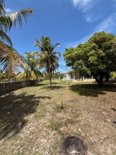 SÍTIO À VENDA NO MOSQUEIRO