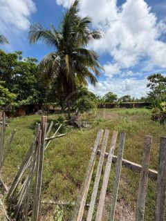 SÍTIO À VENDA NO MOSQUEIRO
