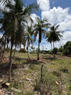 SÍTIO À VENDA NO MOSQUEIRO