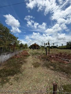 SÍTIO À VENDA NO MOSQUEIRO