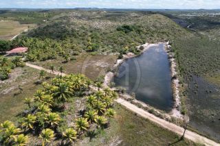 SÍTIO À VENDA EM ESTÂNCIA - ABAIS