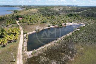 SÍTIO À VENDA EM ESTÂNCIA - ABAIS