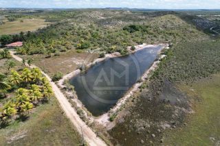 SÍTIO À VENDA EM ESTÂNCIA - ABAIS