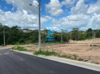 LOTE NO GIARDINO BIANCO