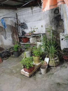 Casa na soledade somente a vista