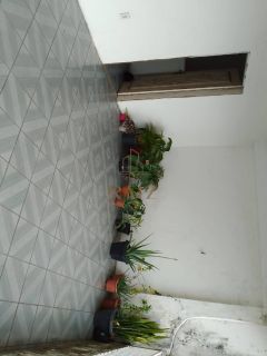 Galpão com casa na rua Acre