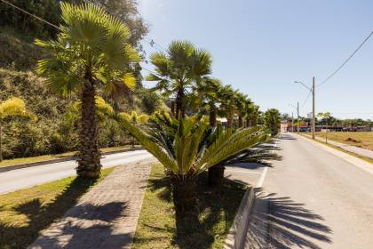 Terrenos a venda no bairro Itinga Araquari SC