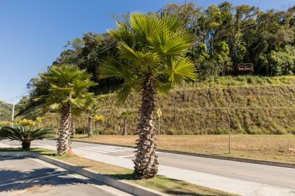 Terrenos a venda no bairro Itinga Araquari SC