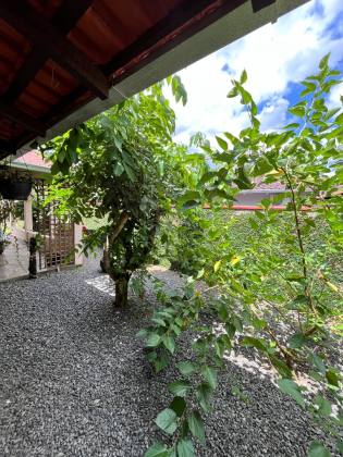 Casa Para Vender com 4 quartos 1 suítes no bairro Nova Brasília Joinville.