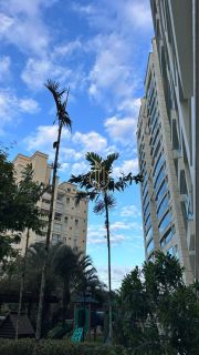 Apartamento com 4 quartos a venda no Centro de Joinville SC