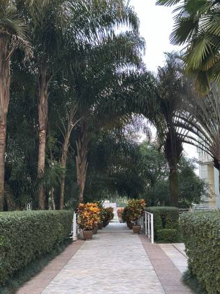 Apartamento 4 quartos no Centro