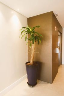 Cobertura duplex 3 quartos no Anita Garibaldi [DUPLICADO]