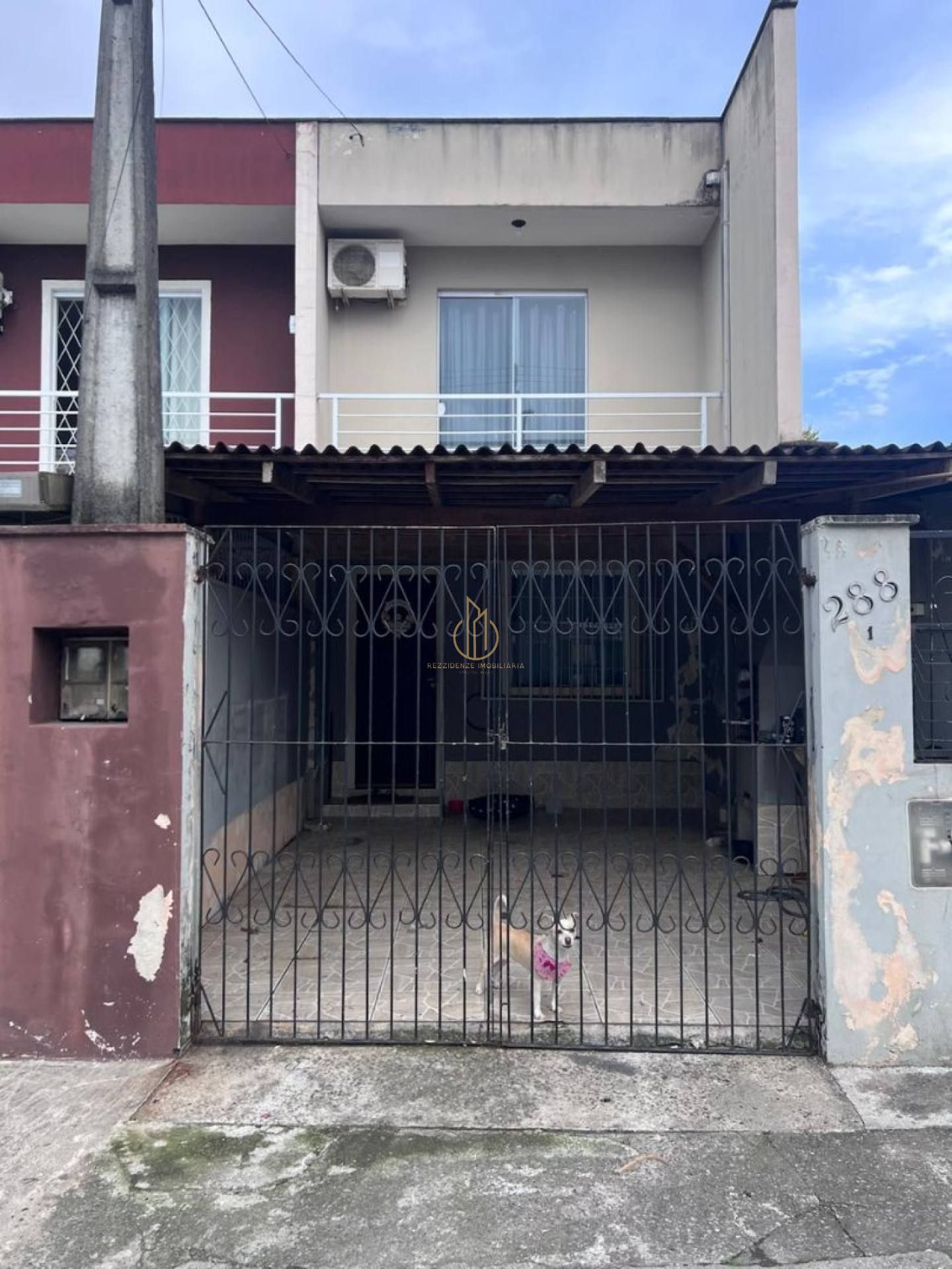 Geminado no Adhemar Garcia Joinville/Sc
