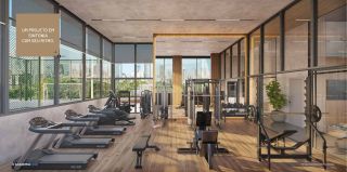 Lumio Jardim Apipema