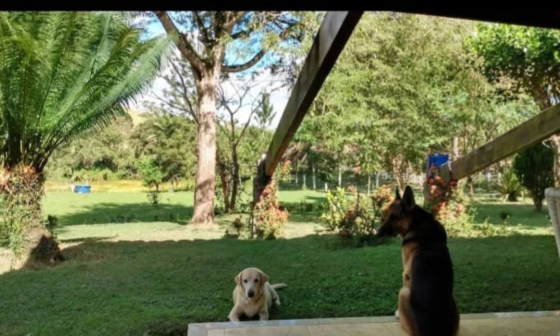 Propriedade Rural Completa à Venda em Mutuípe – BA
