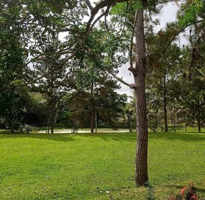 Propriedade Rural Completa à Venda em Mutuípe – BA