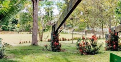 Propriedade Rural Completa à Venda em Mutuípe – BA