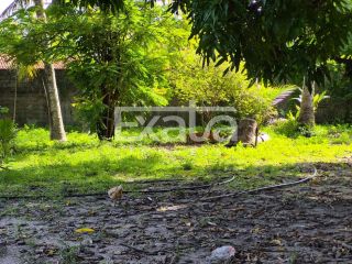 Terreno - Paço do Lumiar