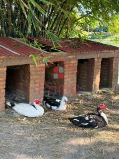CASA COND MELICIO MACHADO
