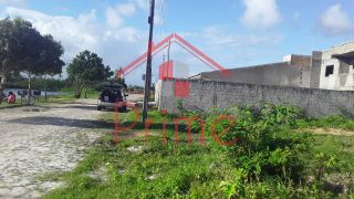 Lote na Aruana