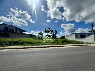 Terreno Lote em Alagoinhas Velha, Alagoinhas/BA