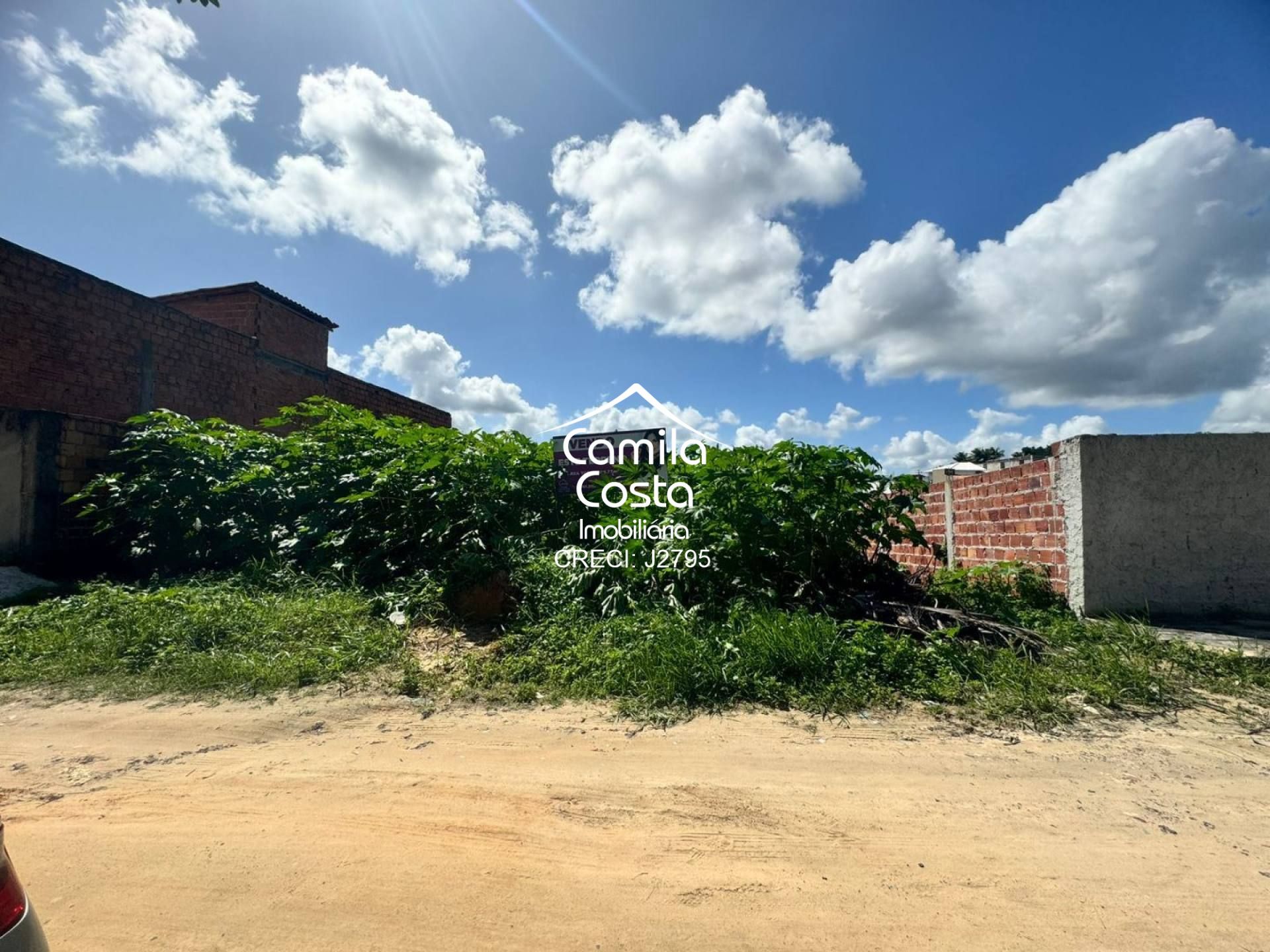 Terreno em Alagoinhas Velha, Alagoinhas/BA