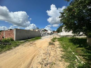 Terreno em Alagoinhas Velha, Alagoinhas/BA