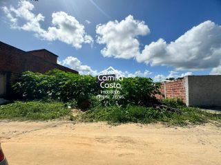 Terreno em Alagoinhas Velha, Alagoinhas/BA