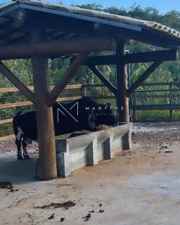 Lote / Terreno de Condomínio Fazenda Real