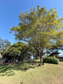 Lote à venda no Atmosphera Green Residence