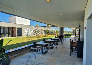 Terras Alphaville 2