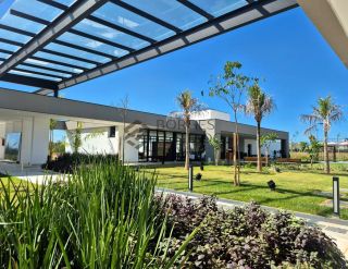 Terras Alphaville 2