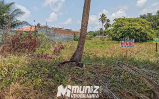 Terreno em Mosqueiro: 2.295m² de Potencial para o Seu Projeto!