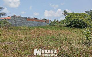 Terreno em Mosqueiro: 2.295m² de Potencial para o Seu Projeto!