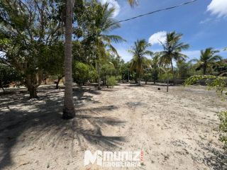 CHÁCARA À VENDA –  POVOADO ANGELIM II - SANTO AMARO DAS BROTAS/SE