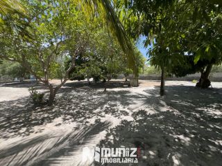 CHÁCARA À VENDA –  POVOADO ANGELIM II - SANTO AMARO DAS BROTAS/SE