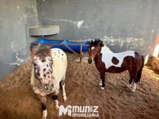 Lote à venda no Condomínio Fazenda Real II - Caueira - Estância/SE!