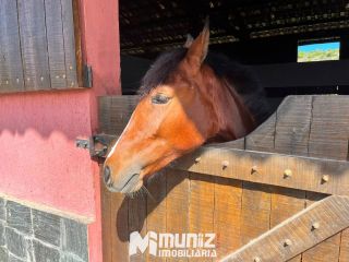 Lote à venda no Condomínio Fazenda Real II - Caueira - Estância/SE!