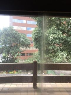 Terreno no bairro CAMINHO DAS ÁRVORES 