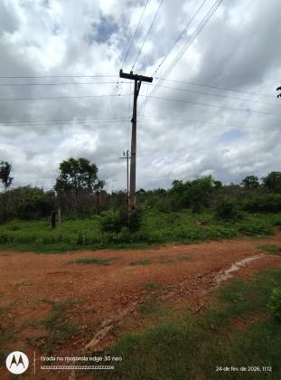 LOTES em Timon