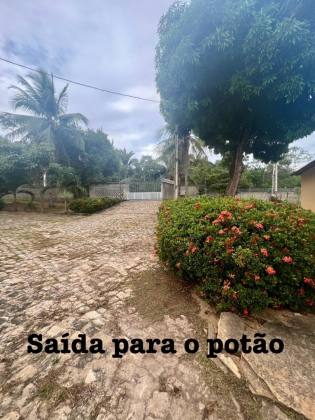 Sítio na Taboca do Pau Ferrado
