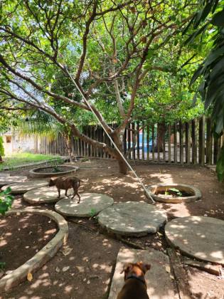 Casa à Venda na Piçarreira, Teresina – 9 Quartos, 3 Suítes e 1.300 m² de Área Total