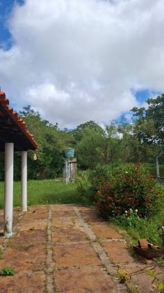 Chácara à Venda na localidade Boa Saúde, Campo Maior-PI – 2 Hectares com Casa e Piscina