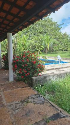 Chácara à Venda na localidade Boa Saúde, Campo Maior-PI – 2 Hectares com Casa e Piscina